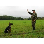 Защитно-караульная служба для собак