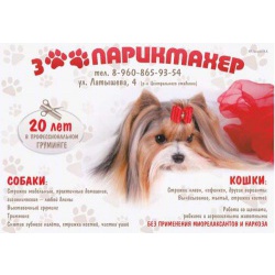 Груминг, стрижка собак и кошек в Астрахани