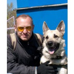 дрессировка собак в Омске - ОЦССС