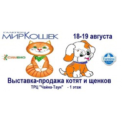 18-19 августа выставка продажа котят и щенков Любимчик