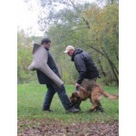 Дрессировка собак в Кусково (ВАО)