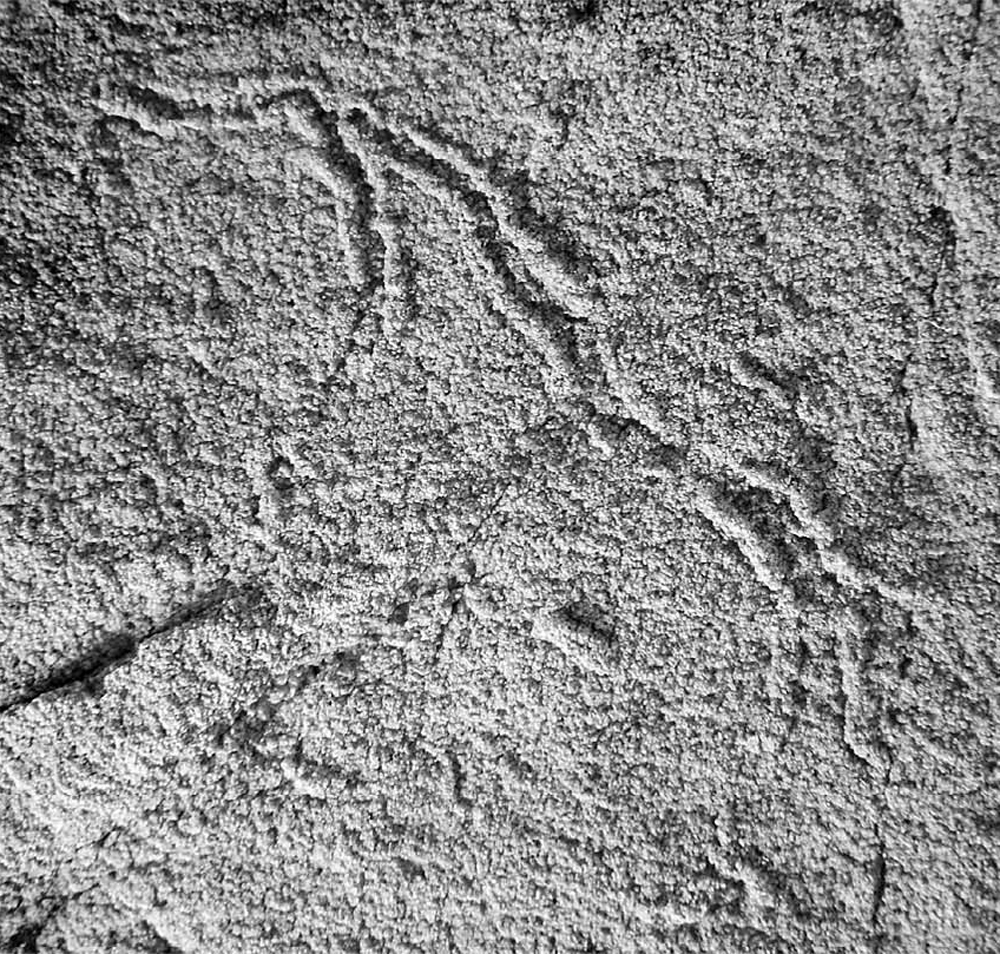 Отпечатки и следы возрастом 1,8 млрд лет. Их приписывают многоклеточным, но их запросто могли оставить одноклеточные
