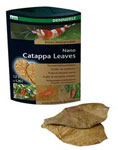 Nano Catappa Leaves 