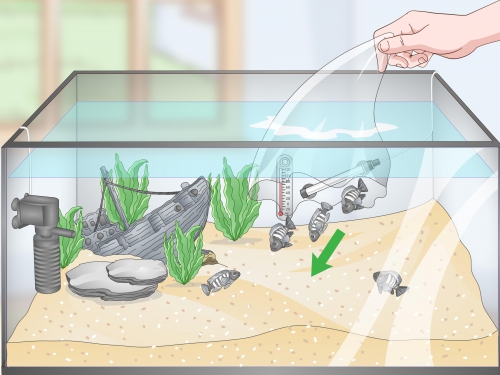 Как сделать встроенный аквариум своими руками