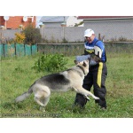 Восточноевропейской овчарки щенки с род .РКФ