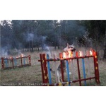 Восточноевропейской овчарки щенки с род .РКФ