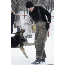 Щенко ВЕО