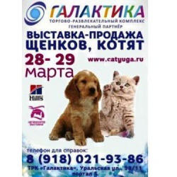 Беби-Салон продажа породистых котят и щенков