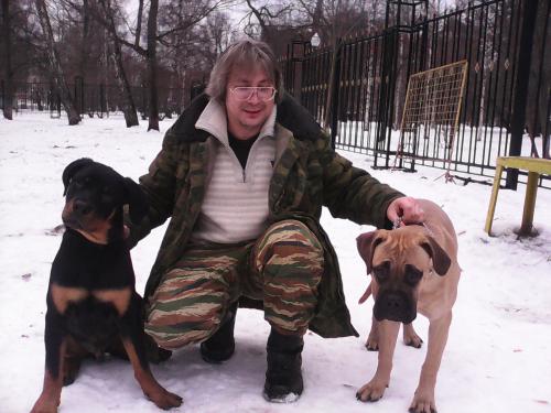 Дрессировка собак в Москве