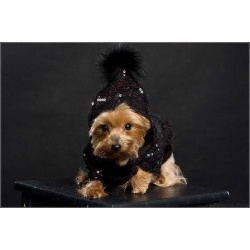 одежда для собак от URBAN-DOGS опт и розница