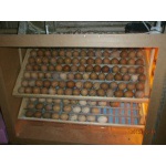 Инкубаторы от 100 до 3000 яиц