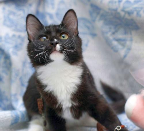 Малышка Бусинка,