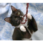 Малышка Бусинка,