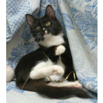 Малышка Бусинка,