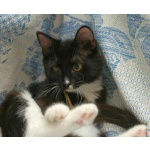 Малышка Бусинка,