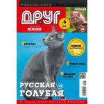 Элитные котята РУССКАЯ ГОЛУБАЯ