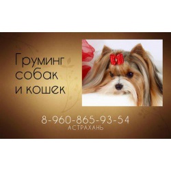 Профессиональная стрижка собак и кошек, г. Астрахань