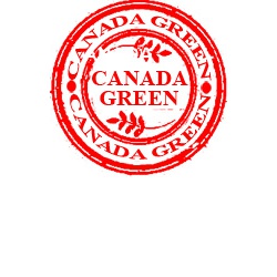 Газонная Трава Canada Green.
