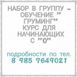 Вы ищете где в Москве подстричь собаку или кошку быстро, качественно и безболезненно? Студия красоты