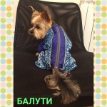 Одежда для собак /Бутик недорогой одежды в Москве