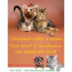 Стрижка собак и кошек «Zoo-Kind» в Челябинске