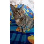 Малышня 3 месяца
