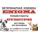 Ветеринарная клиника