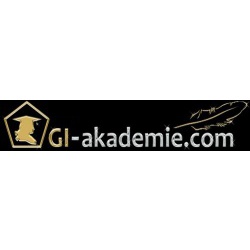 Дистанционное обучение стратегии успеха в GI-AKADEMIE