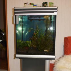 Продам аквариум Aquatlantis, 140л.