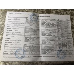 Щенки западно- сибирской лайки от рабочих собак