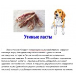 Сушеные лакомства для собак Dog Treats 42