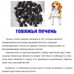 Сушеные лакомства для собак Dog Treats 42