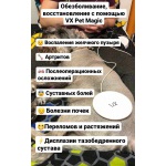 Терапевтический прибор для животных VX Pet Magic