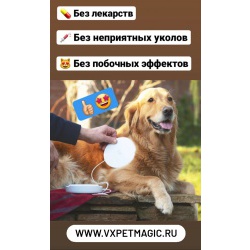 Терапевтический прибор для животных VX Pet Magic