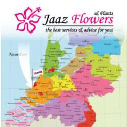 Голландская цветочная компания "Jaaz Flowers"
