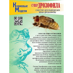 Корм для мухи дрозофилы, для кормления рептилий, корм для бананоедов