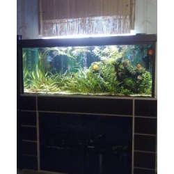 продам аквариум