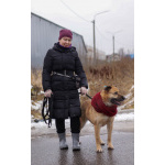 Хана: звезда, которая ждет своего часа! В добрые руки