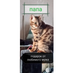 Бенгальские котята