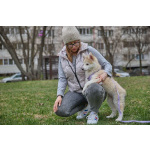 Ищет дом маленькое чудо — Лунтик, щенок 2 месяца!