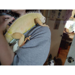 Игуана желтая (Iguana Iguana yellow morph) + террариум