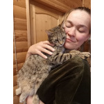 Котики неразлучники