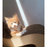 Мальчик 2 месяца красный