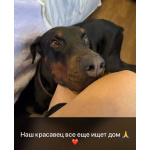 Мальчик ищет добрые руки