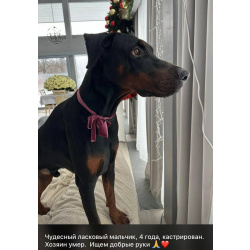 Мальчик ищет добрые руки