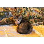 Котенок девочка трехцветная Флора, 2 месяца, ищет дом