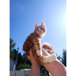 Мальчик 2 месяца красный