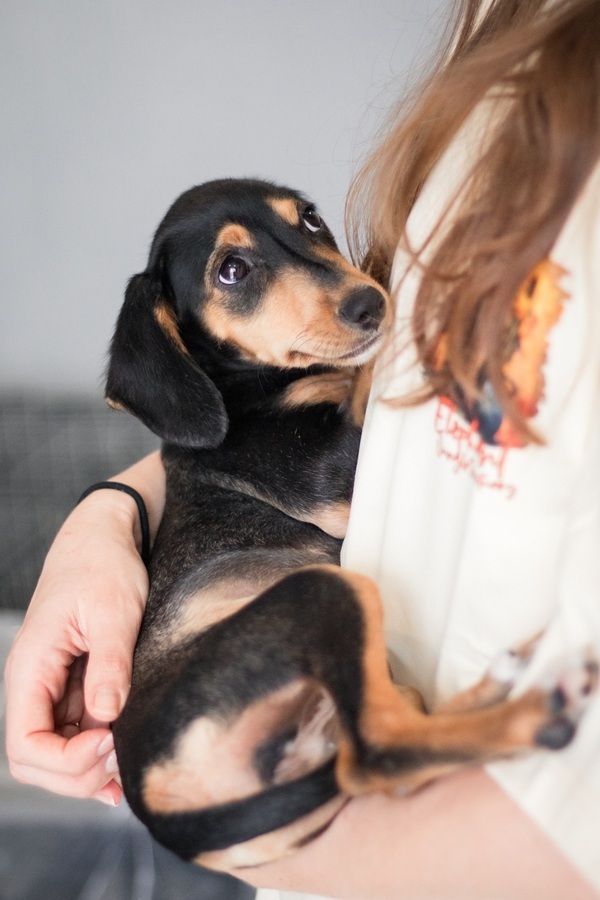 Зиппи ищет своего человека