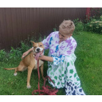 Ищет семью собака Хельга. В добрые руки.