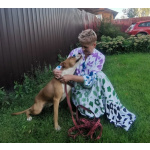 Ищет семью собака Хельга. В добрые руки.